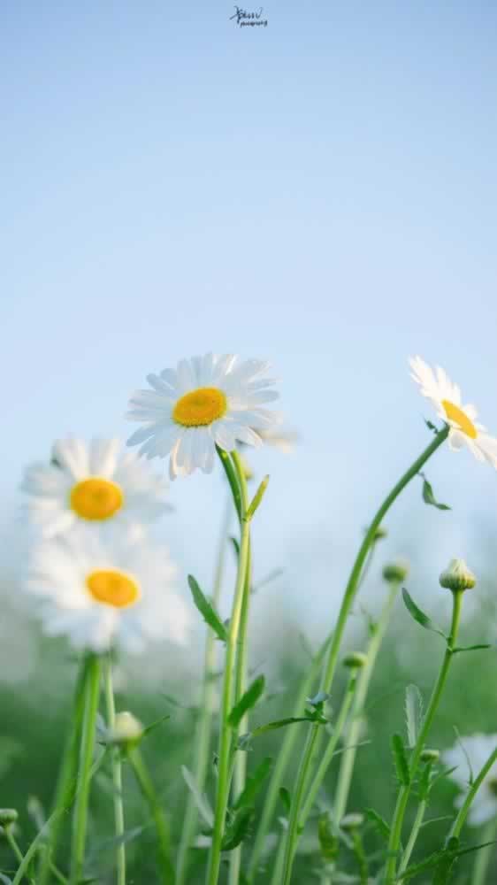 一倍流水提现是多少钱啊怎么算.文章引题（图）