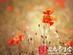 注单未回传不能出款吗为什么呢.文章引题（图）